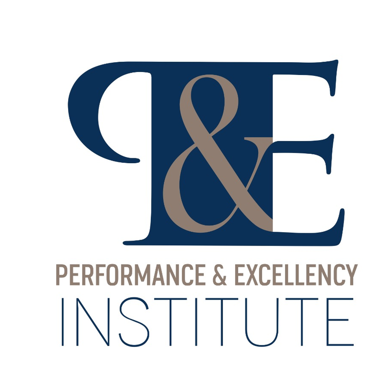 Performance & Excellency Institute